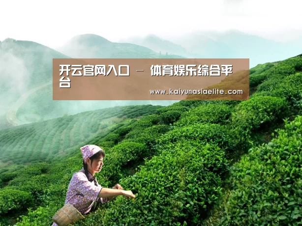 开云官网入口 - 体育娱乐综合平台