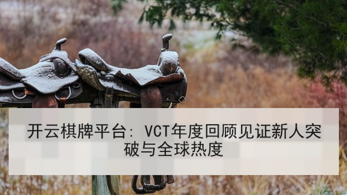 开云棋牌平台: VCT年度回顾见证新人突破与全球热度