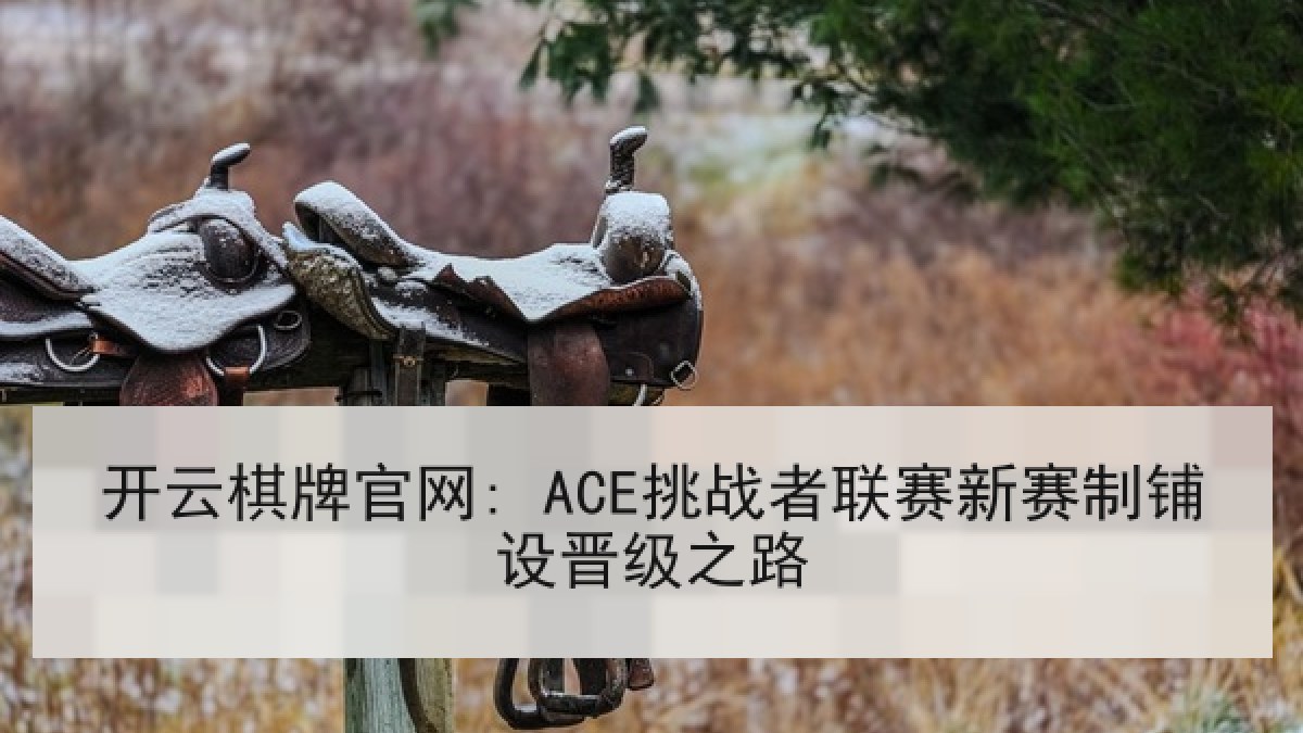 开云棋牌官网: ACE挑战者联赛新赛制铺设晋级之路 开云棋牌官网: ACE挑战者联赛新赛制铺设晋级之路